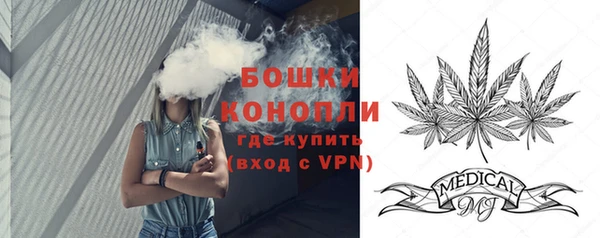 гидра Михайловск