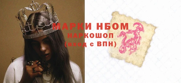индика Михайлов