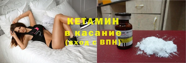 индика Михайлов