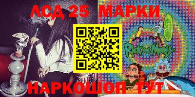 индика Камышлов