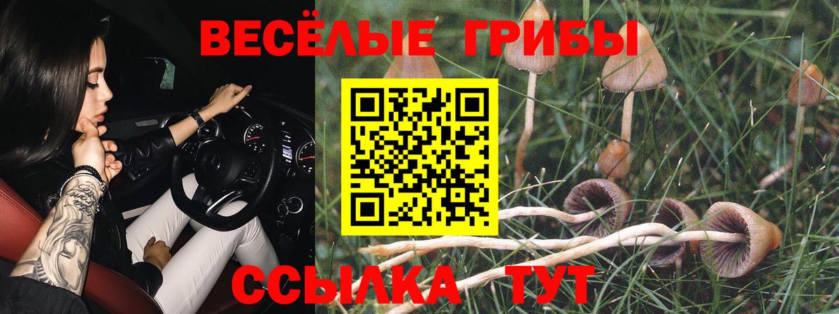 Галлюциногенные грибы Magic Shrooms Симферополь