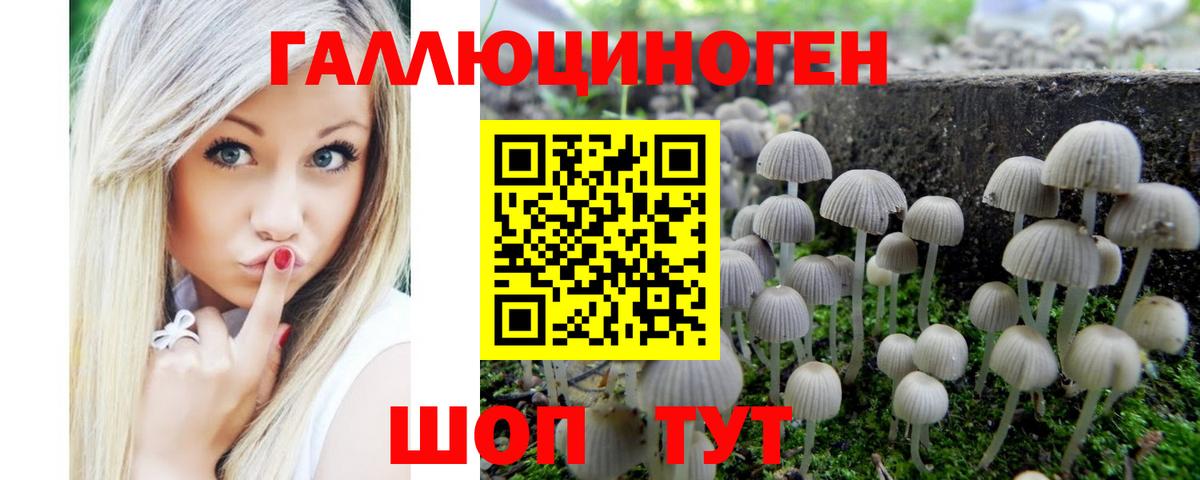 Симферополь  Псилоцибиновые грибы мицелий  Вход с VPN 